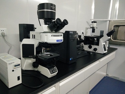 荧光（倒置）显微镜.jpg